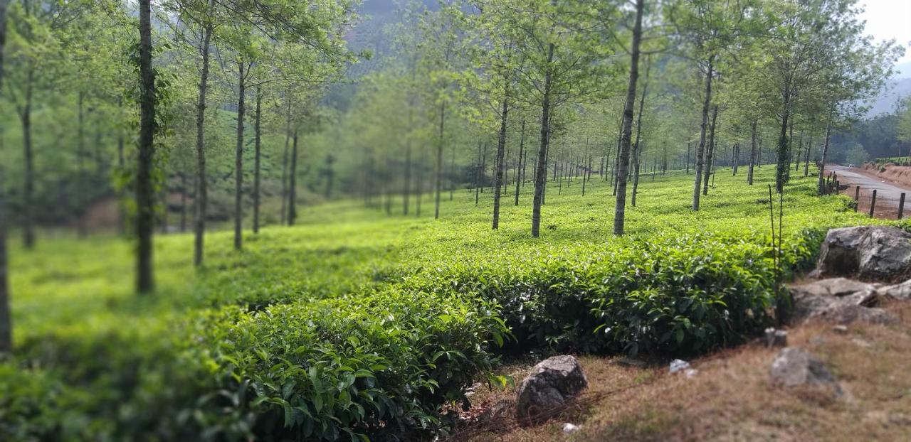 Spice Cottage Homestay テッカディ エクステリア 写真