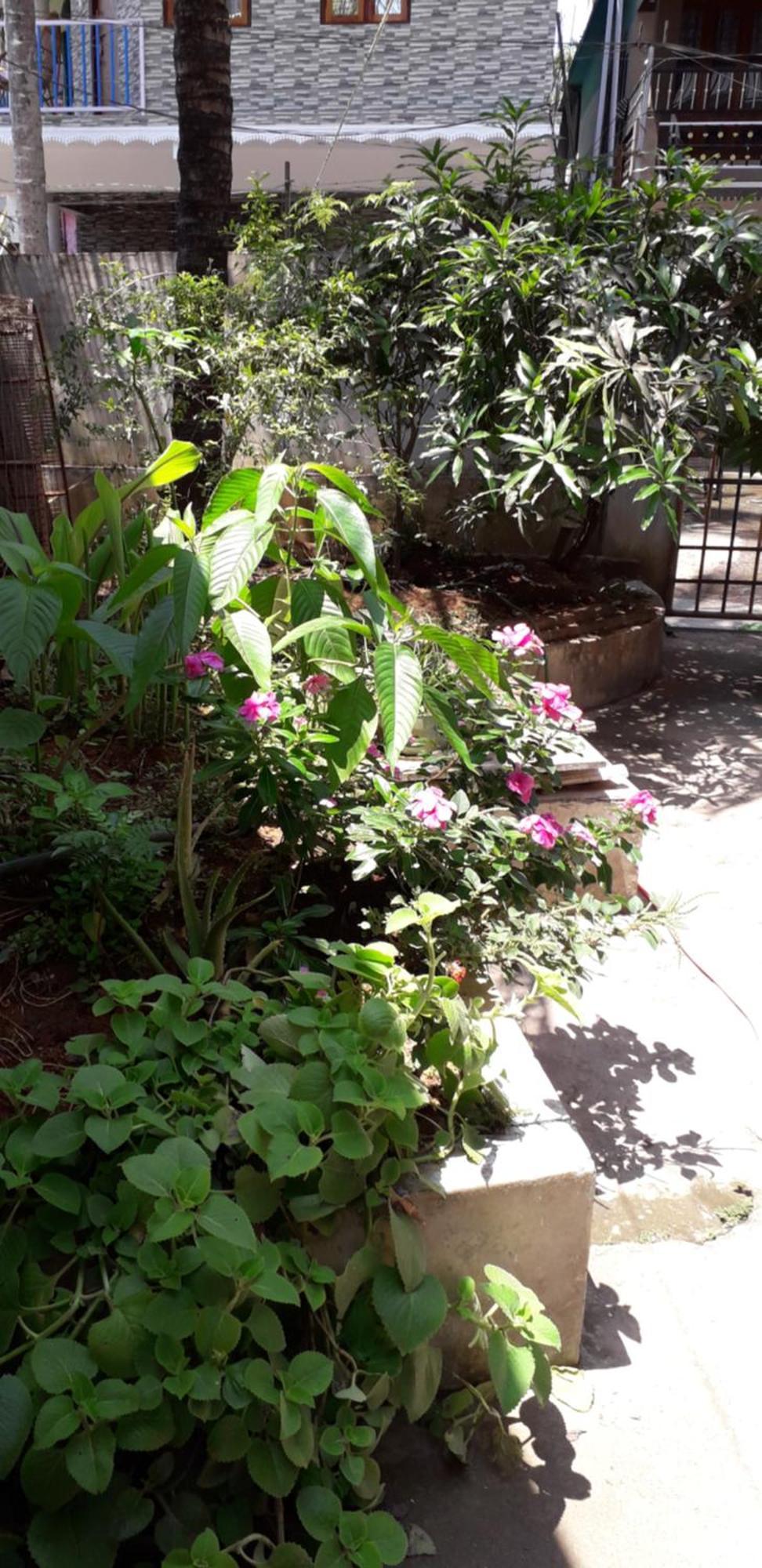 Spice Cottage Homestay テッカディ エクステリア 写真